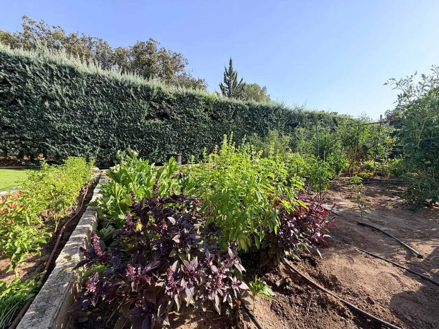 Garden of Houses for sale in Valdemorillo  with Air Conditioner, Heating and Private garden