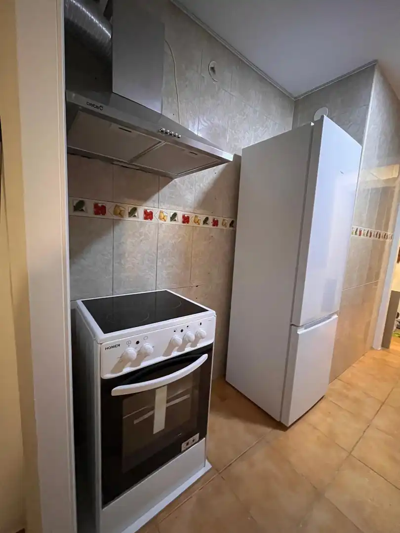 Wohnung mit Terrasse zum Verkauf in Calle FERNANDO EL CATOLICO, imagen 4