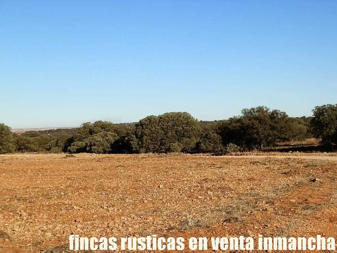 Terreni e lotti in vendita a Quintanar de la Orden, imagen 7
