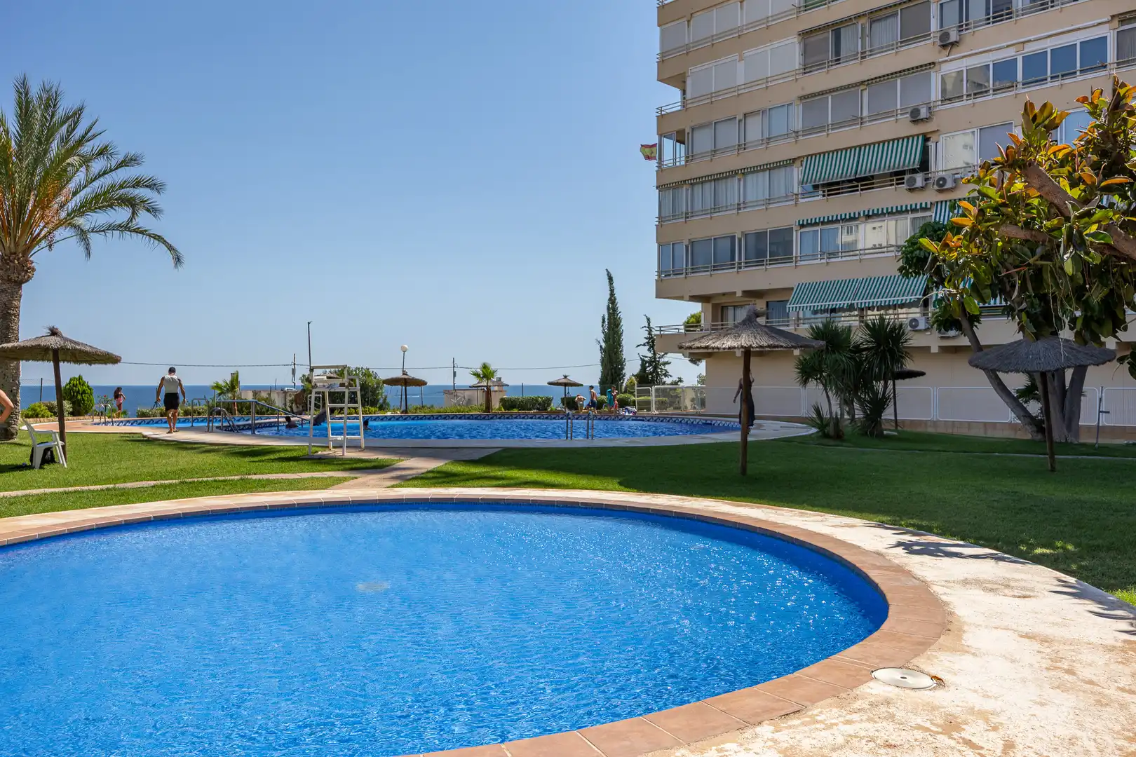 Swimming pool of Apartments for sale in Benidorm  with Swimming Pool, Furnished and Community pool