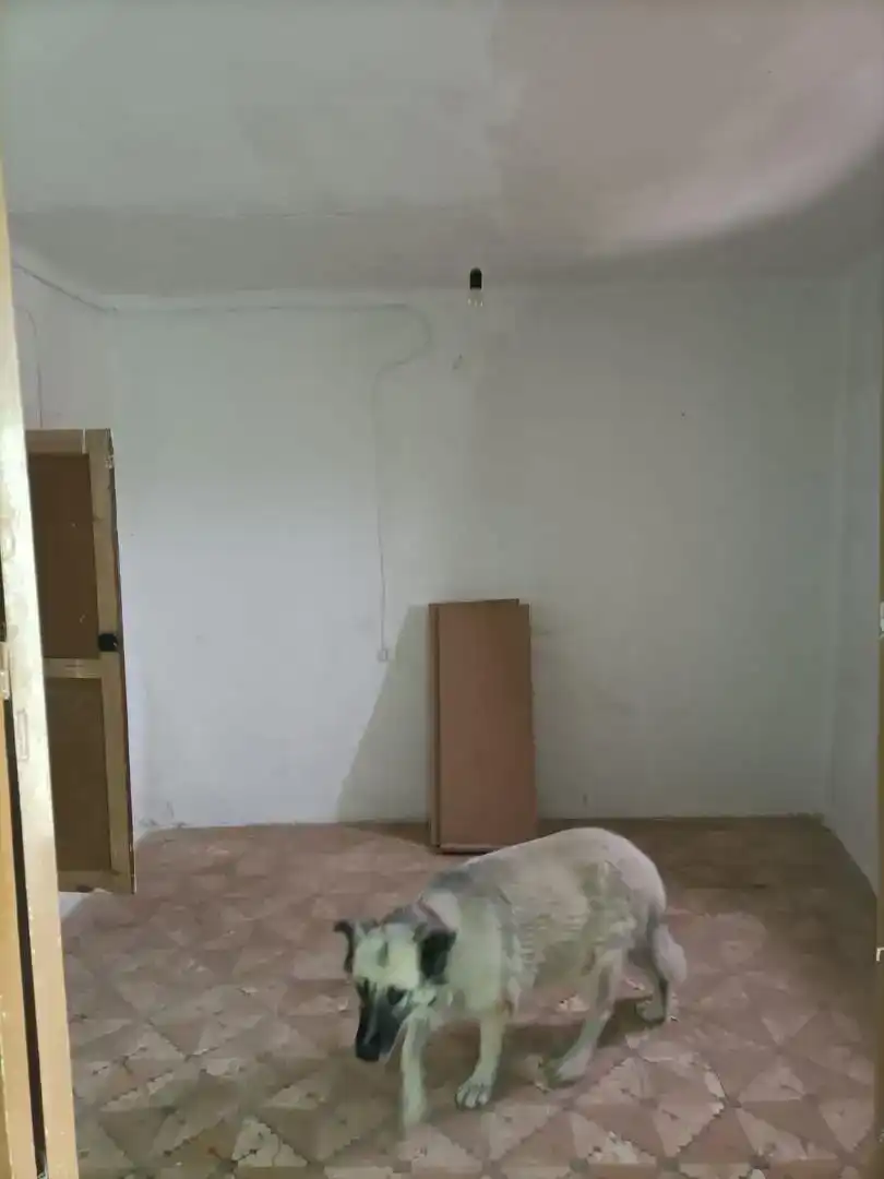 Planta baja en venta en Partaloa con Trastero