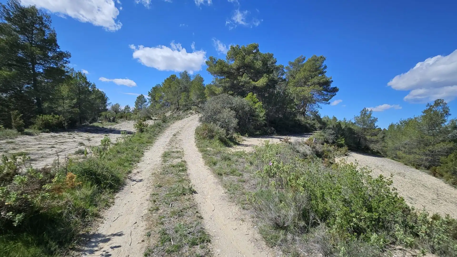 Terrain rustique à vendre à Millena, imagen 20