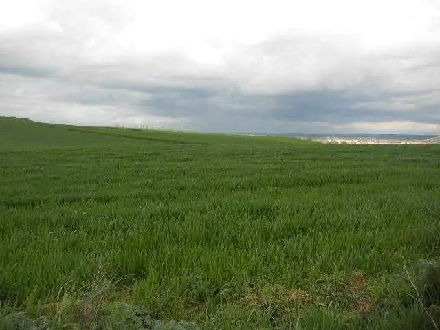 Terreni e lotti in vendita a SC S-15 San Zoles, imagen 21