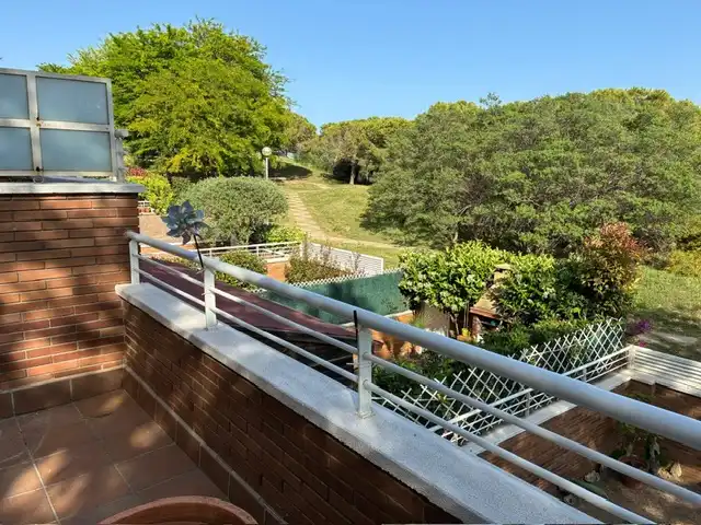 Detached homes for sale in Torreblanca