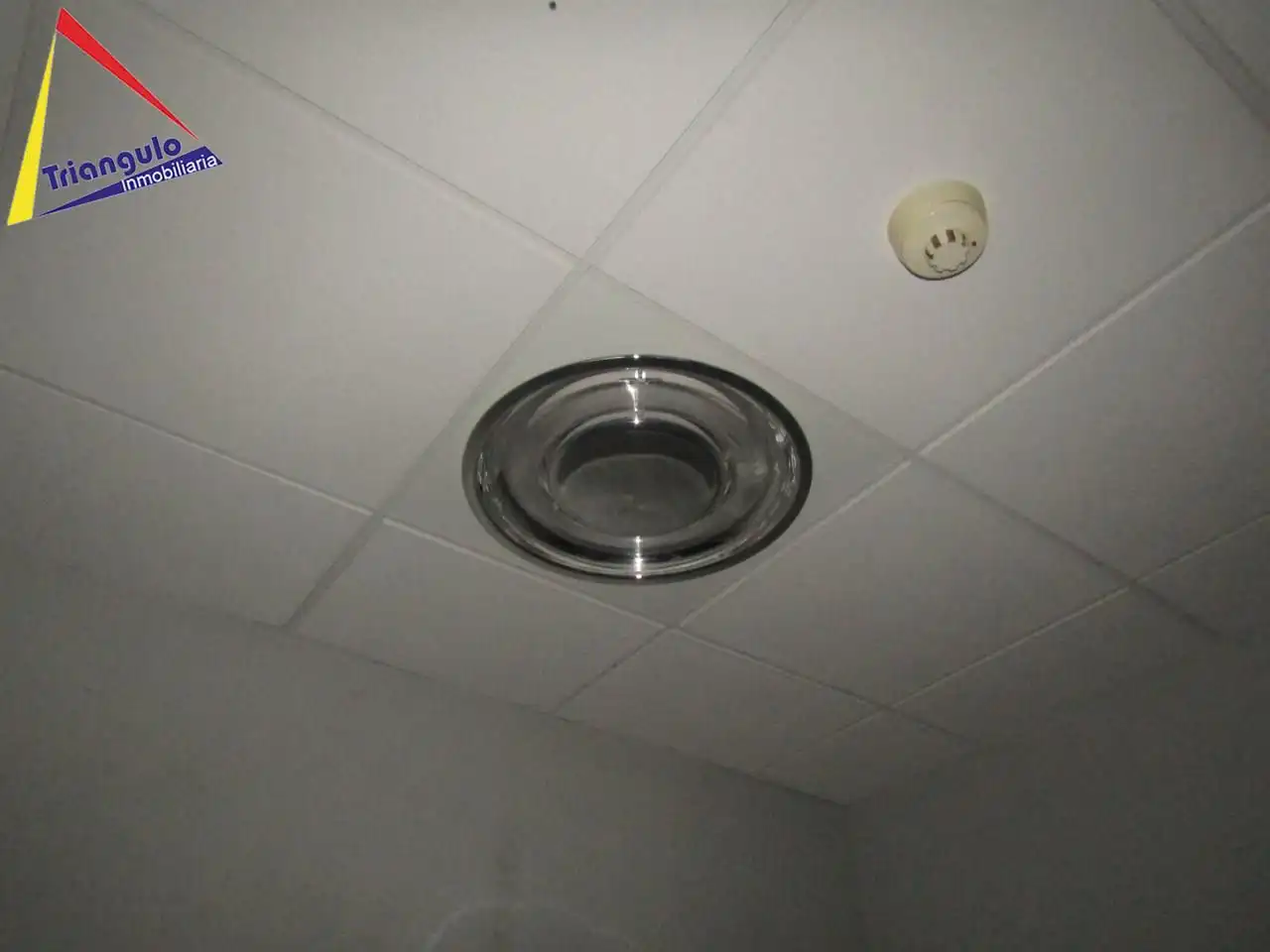 Gewerbefläche zur Miete in El Carmen, imagen 26