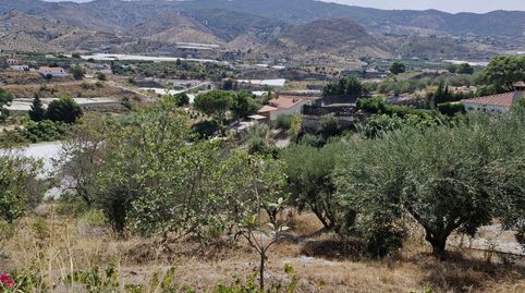 Foto 5 de Finca rústica en venta en Los Tablones - La Garnatilla, Motril