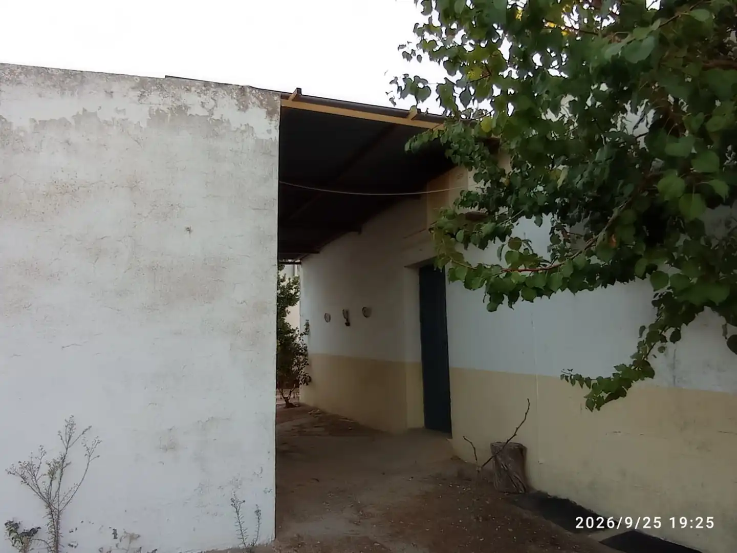 Terreno rústico en venta en El Rocío - La Milagrosa, imagen 15