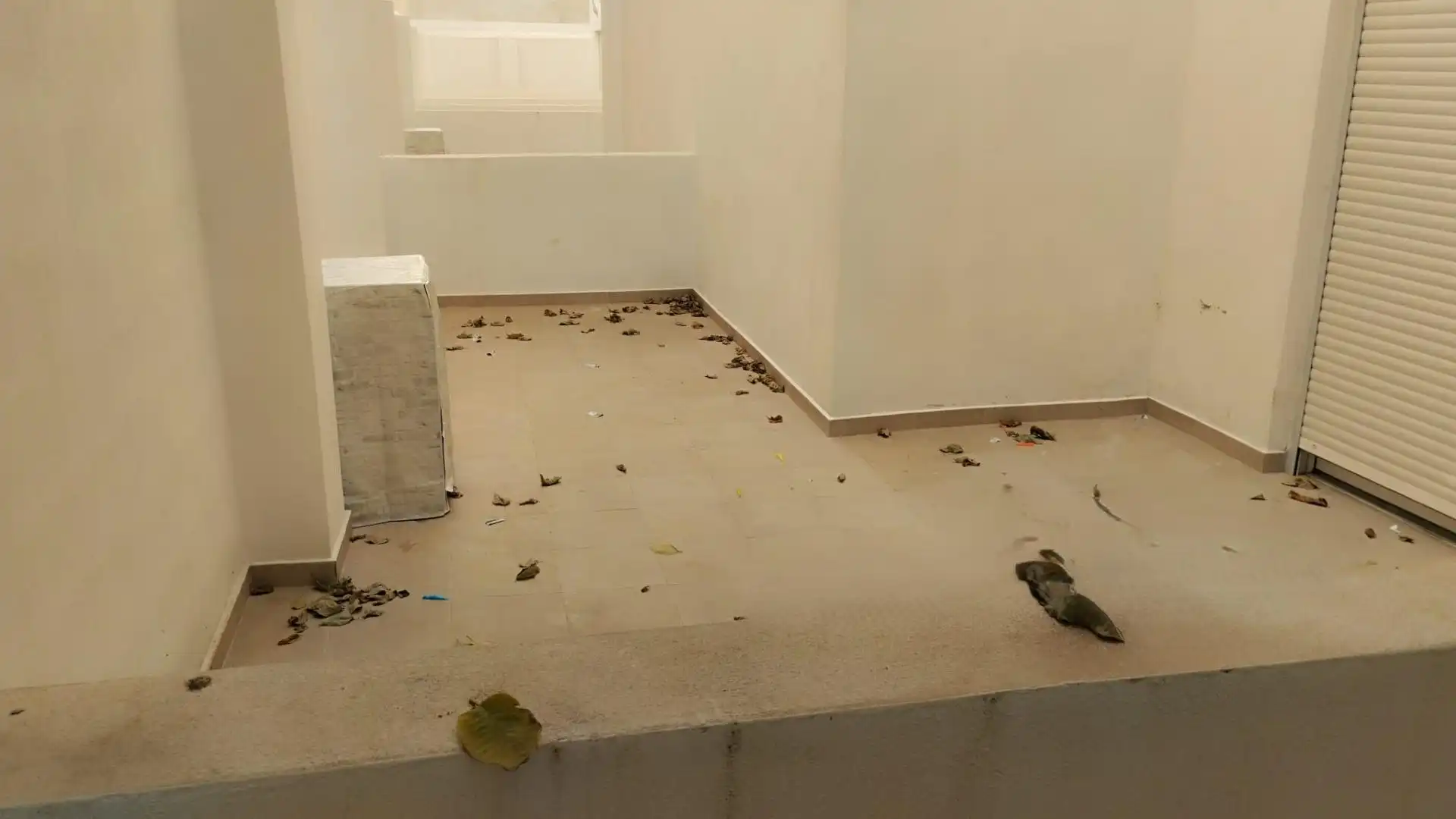 Ground floor for sale in Xirivella  with Air Conditioner, Terrace and Furnished