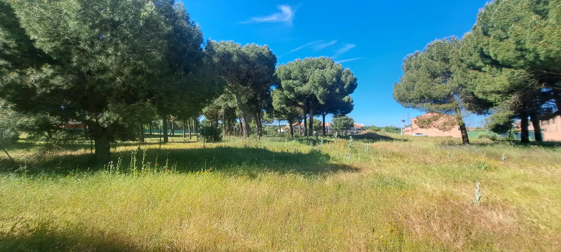 Terreni e lotti in vendita a Camino Cabezada 1, imagen 16