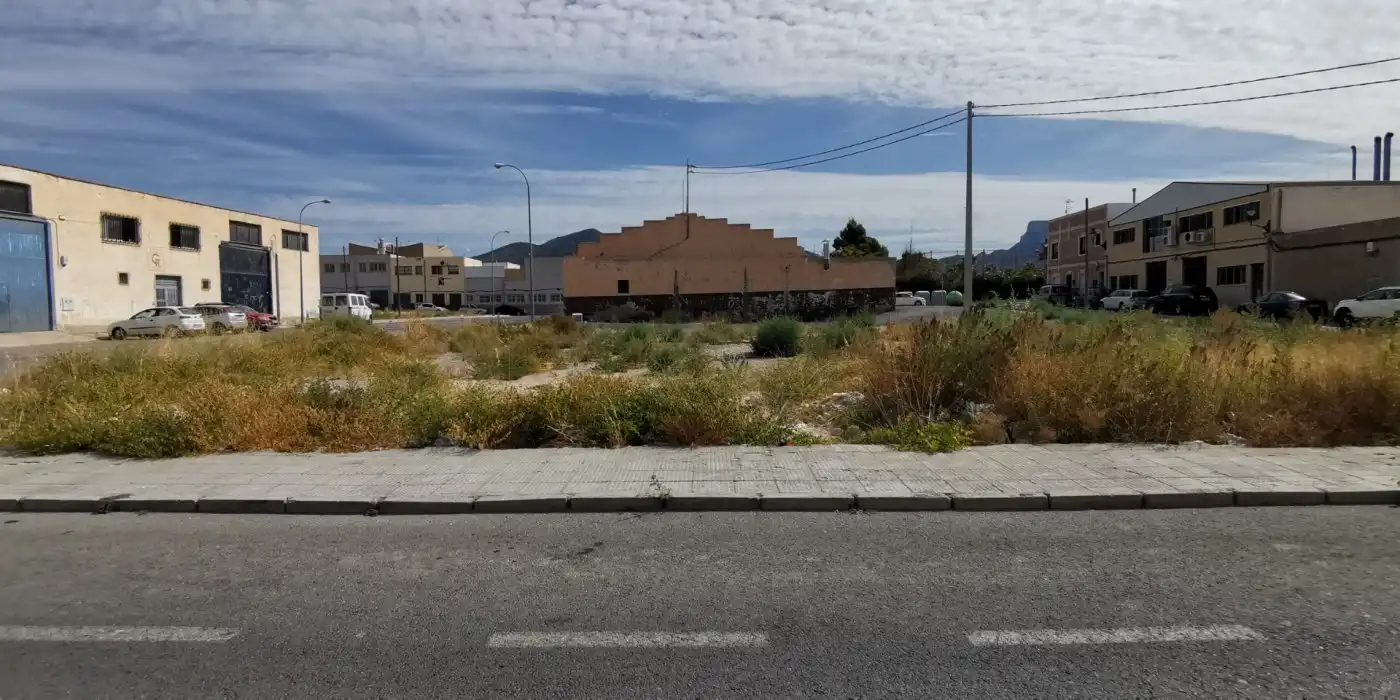 Exterior view of Residential for sale in Elda