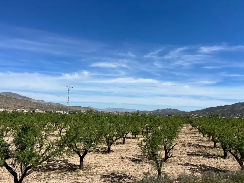 Vista exterior de Pis en venda en Hondón de los Frailes
