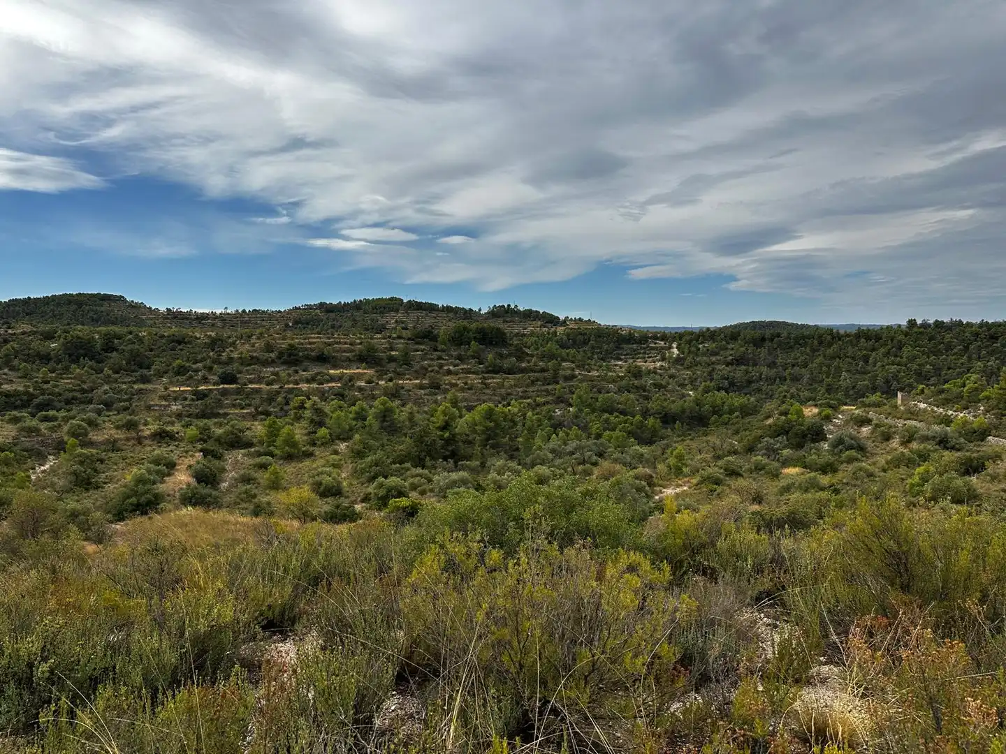 Terreny rústic en venda a Cervià de Les Garrigues, imagen 13