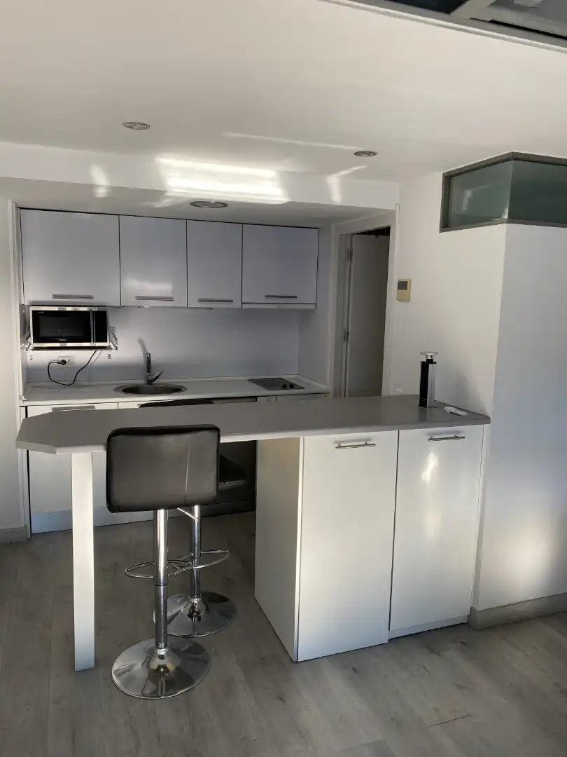 Loft con ascensor en alquiler en Reyes Católicos, imagen 7