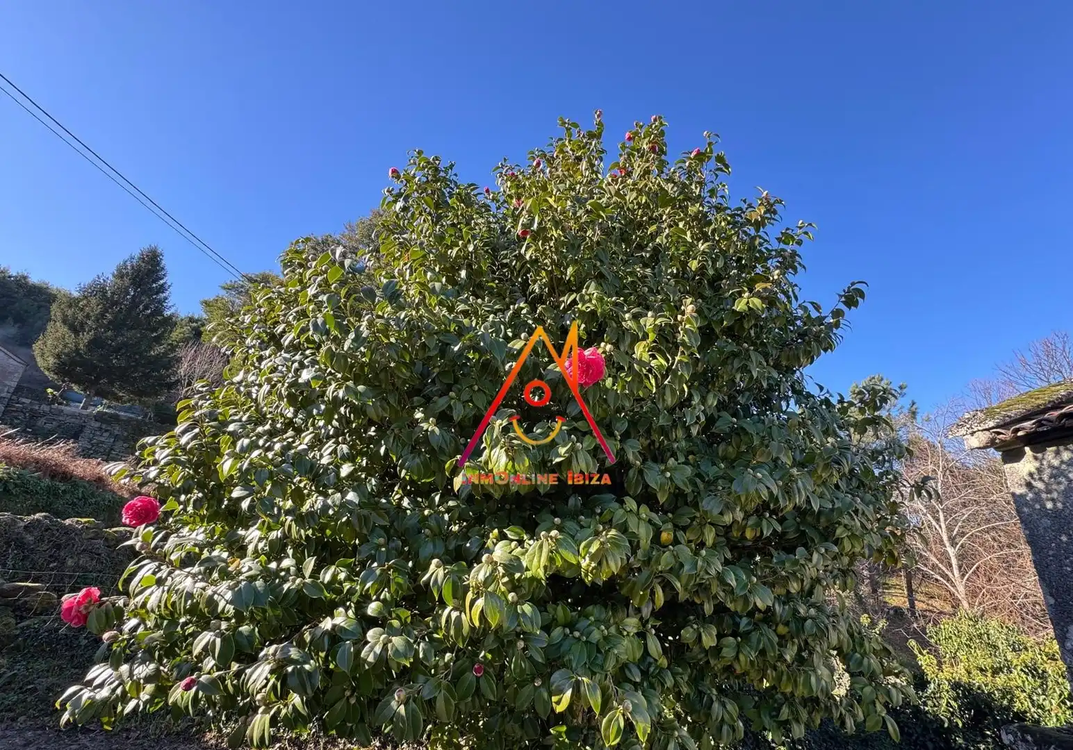Finca rústica en venta en Fornelos de Montes con Jardín privado, Amueblado y Horno
