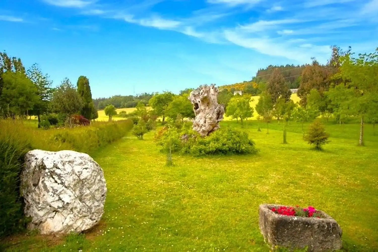 Jardí de Finca rústica en venda en Castroverde amb Aire condicionat, Jardí privat i Terrassa