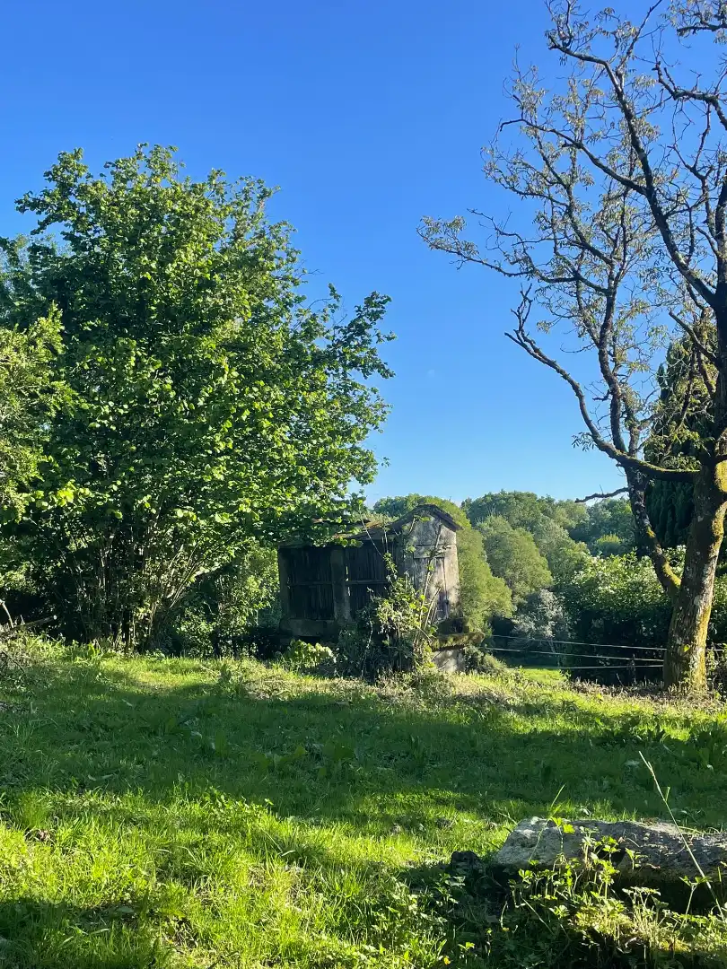 Vista exterior de Finca rústica en venta en O Irixo con Calefacción, Jardín privado y Parquet