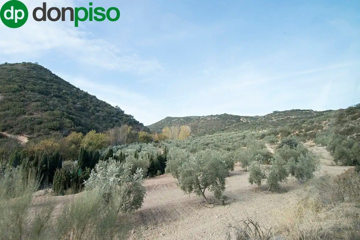 Casa rústica en venda a CORTIJO LA BARRAGANA, imagen 12