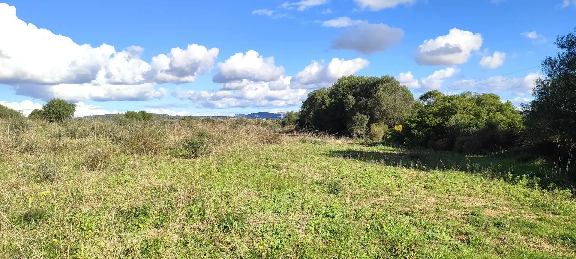 Rural land for sale in Diseminado Cdte Primero 3, imagen 4