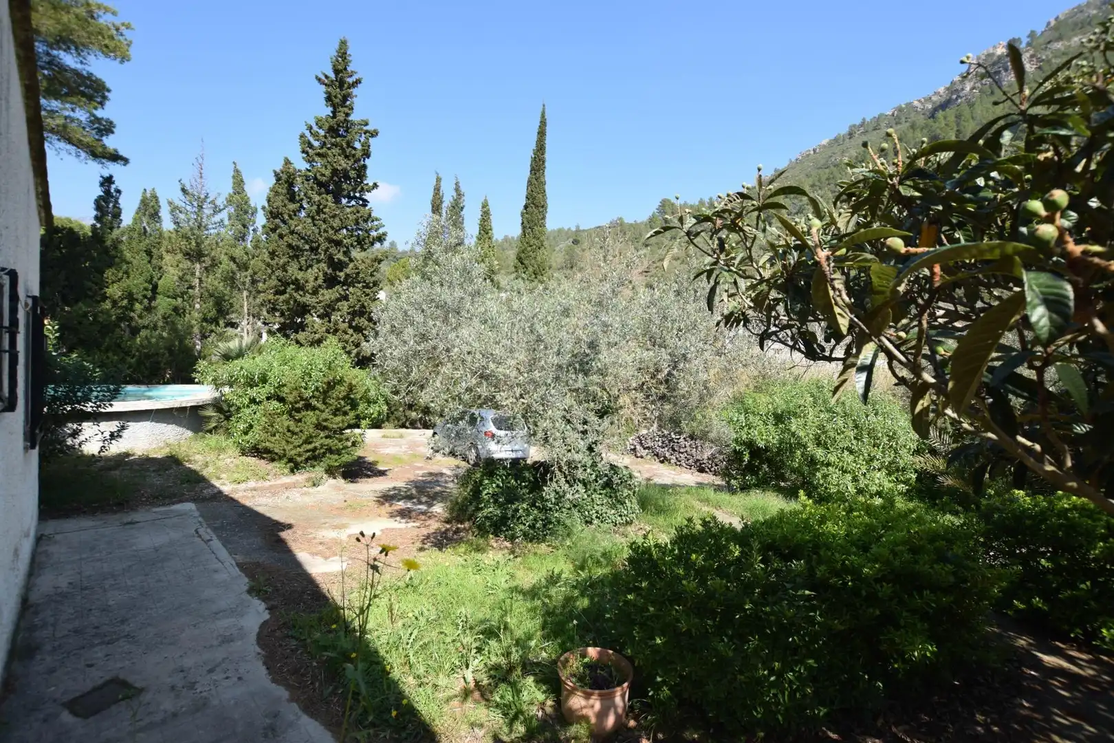 Jardí de Casa o xalet en venda en Alfara de Carles amb Terrassa, Traster i Piscina