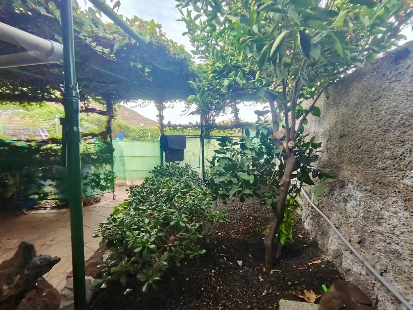 Jardí de Terreny en venda en Santiago del Teide