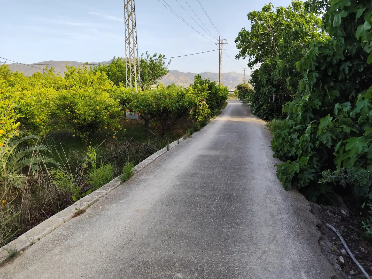 Terrenys i solars en venda a Camino Viejo de Orihuela 12, imagen 6