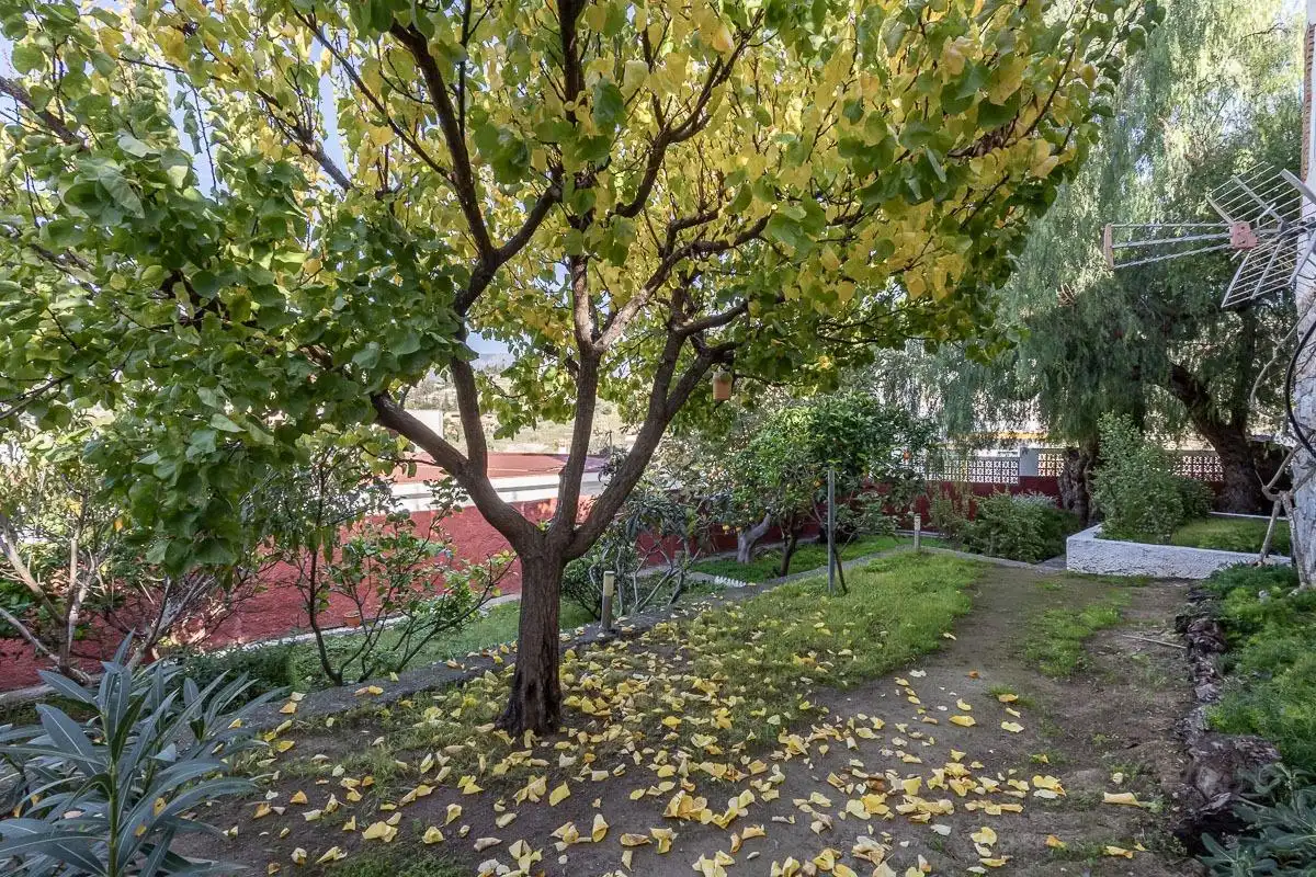 Jardí de Casa o xalet en venda en Almuñécar amb Aire condicionat, Calefacció i Jardí privat