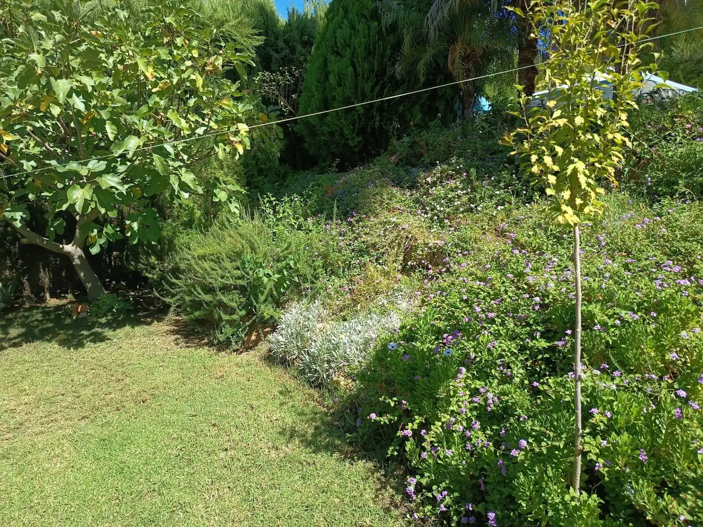 Maison avec piscine à vendre à Periurbano Este - Campiña, imagen 3