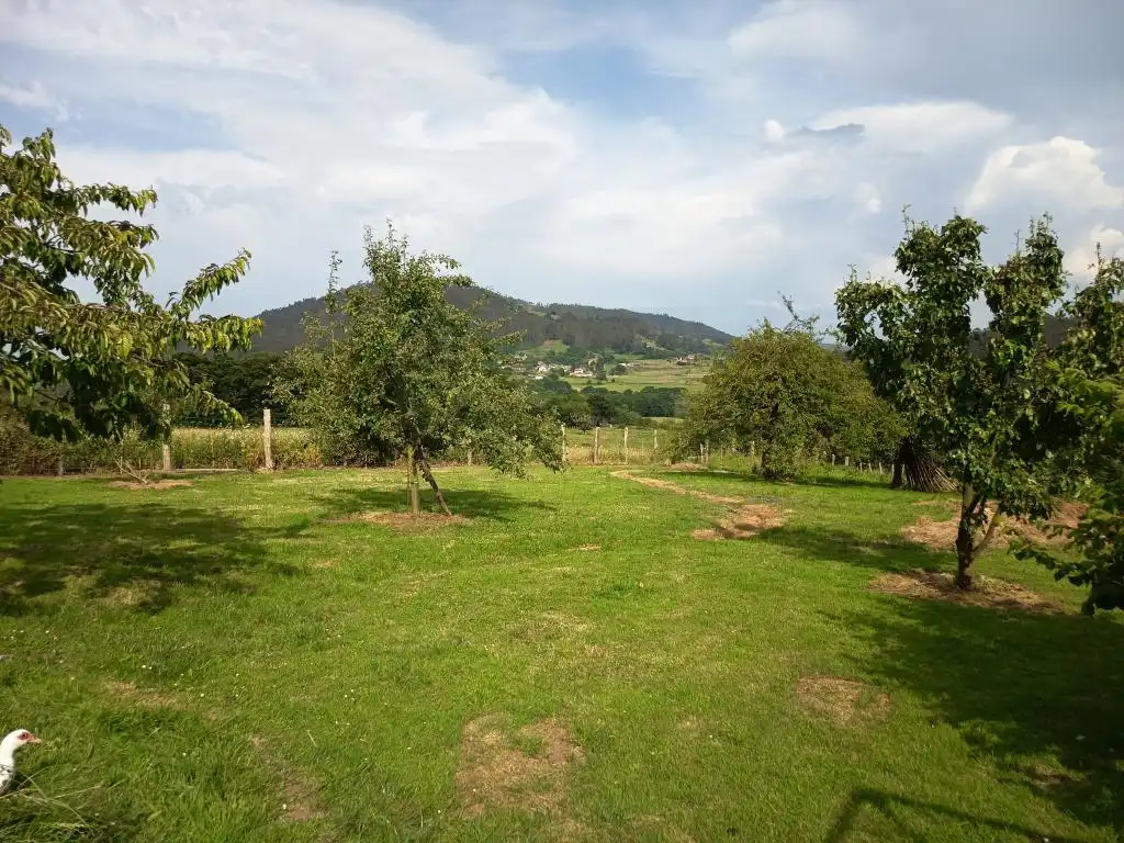 Casa o xalet en venda en Llanera amb Moblat