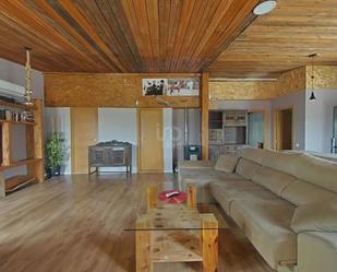 Sala d'estar de Casa o xalet en venda en Serracines amb Aire condicionat