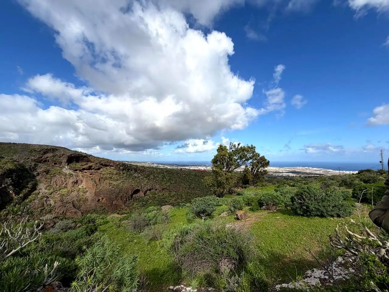 Vista exterior de Finca rústica en venta en Telde con Jardín privado y Terraza