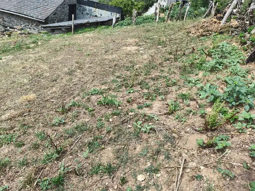 Casa o chalet en venta en Allande con Amueblado