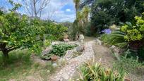 Jardí de Casa o xalet en venda en Argentona amb Terrassa