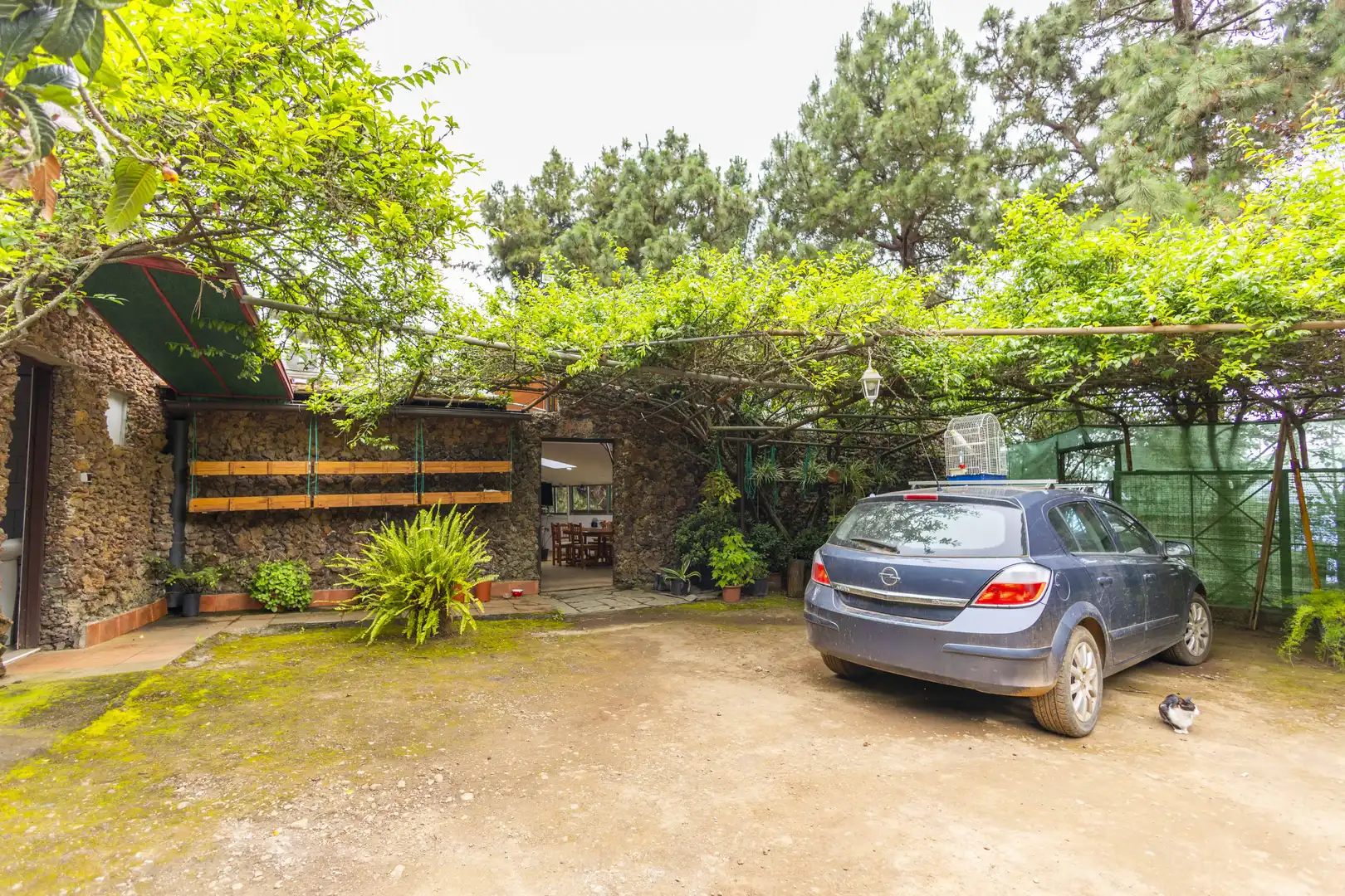 Vista exterior de Finca rústica en venta en San Juan de la Rambla con Aire acondicionado, Calefacción y Jardín privado