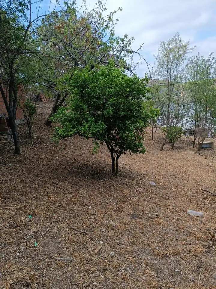 Country homes for sale in Els Hostalets de Pierola  with Private garden
