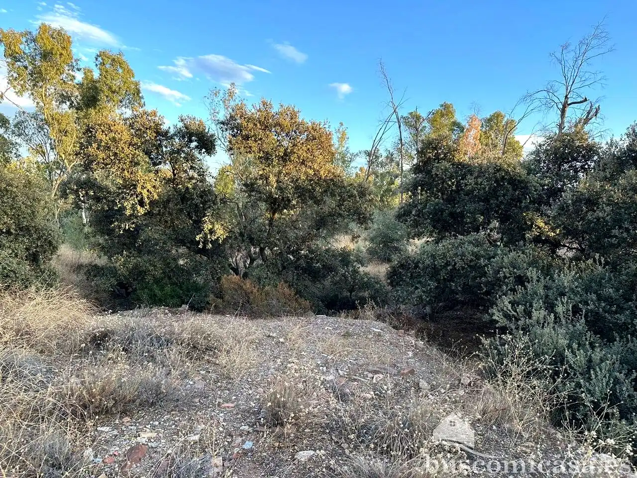Residencial en venda en Linares