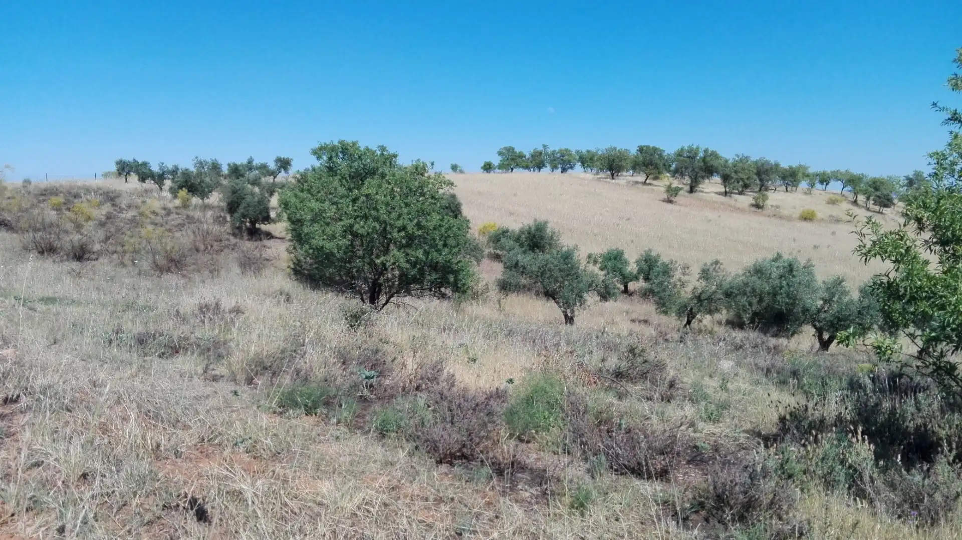 Terrenys i solars en venda a Don Álvaro, imagen 4