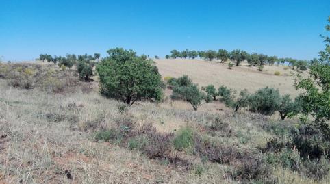 Foto 4 de Residencial en venta en Don Álvaro, Badajoz