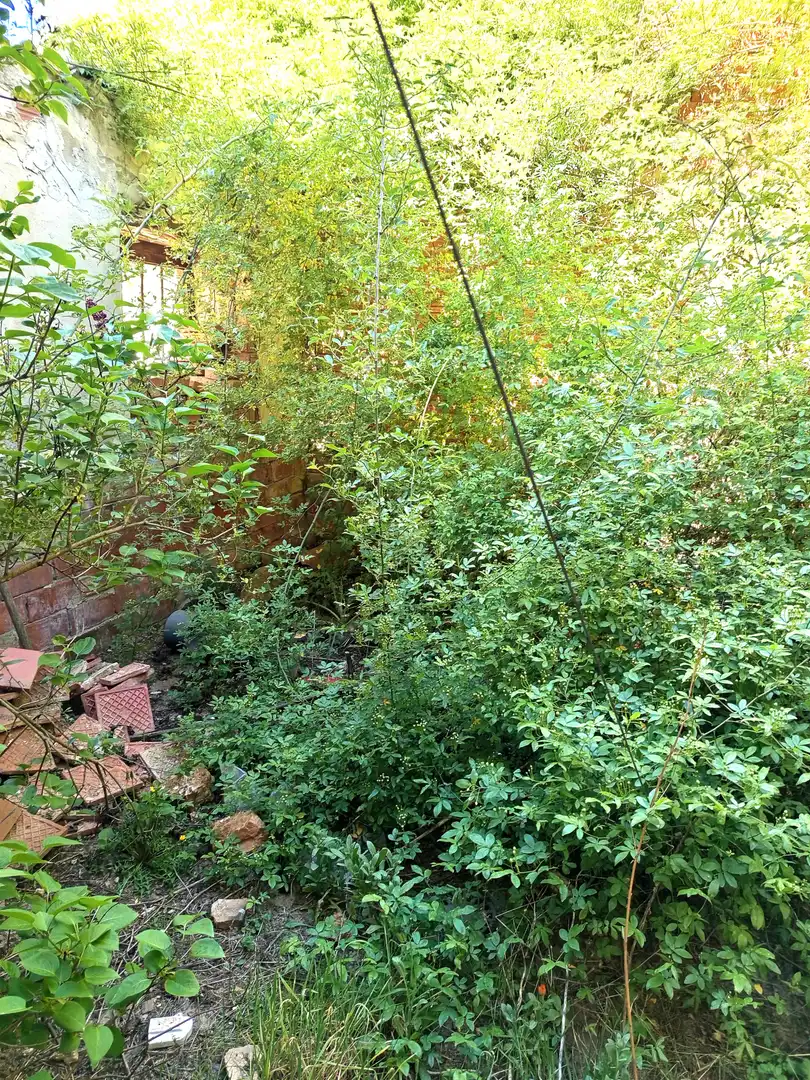 Jardí de Casa o xalet en venda en Prádanos de Ojeda