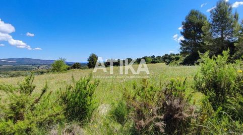 FINCA RUSTICA PARA REHABILITAR, imatge 4