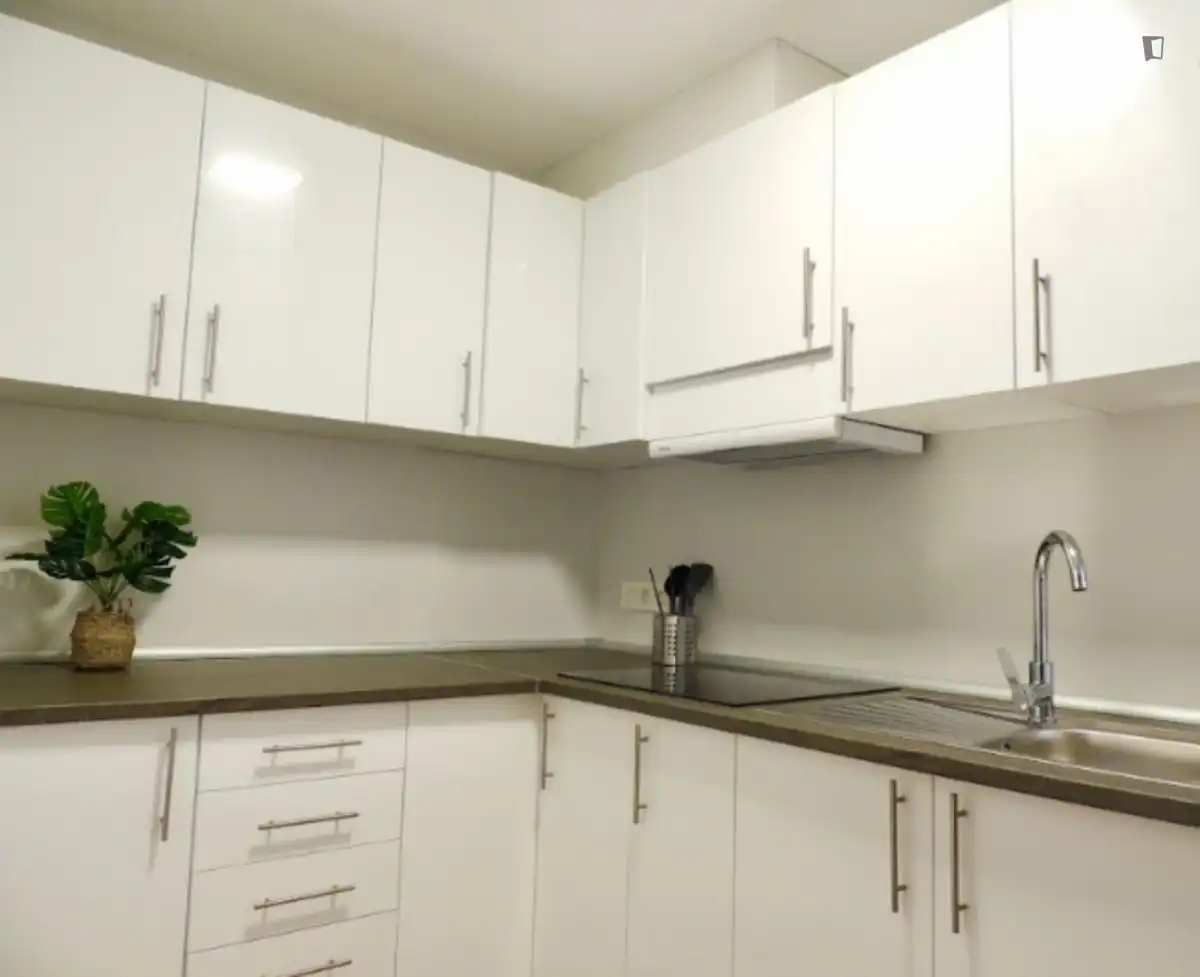 Cuina de Apartament per a compartir en Castellón de la Plana / Castelló de la Plana amb Moblat i Forn