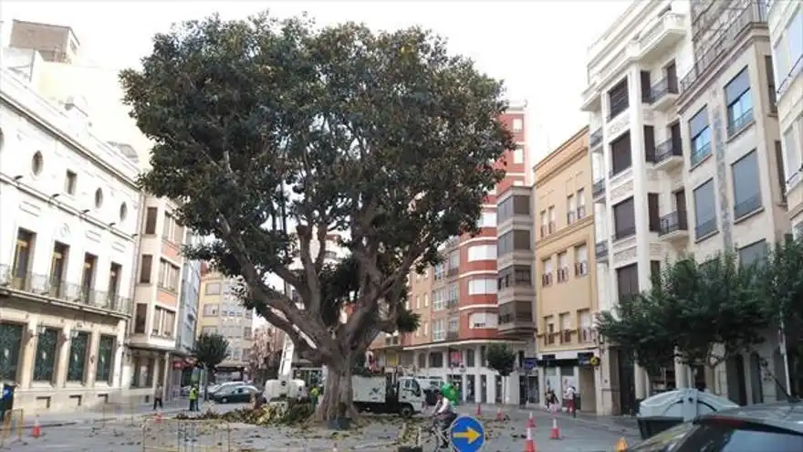 Local comercial de lloguer a Plaça El Pla, imagen 2