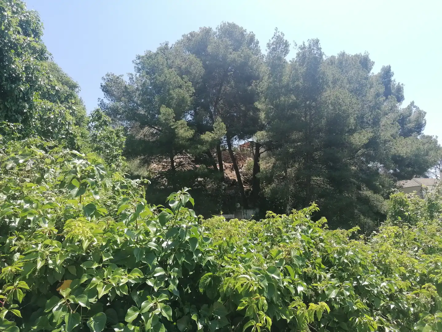 Residential for sale in Carrer Tuca, 40, Costa Cunit - Els Jardins - Els Rosers