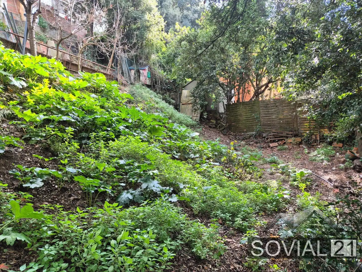 Jardín de Casa o chalet en venta en Barcelona con Jardín privado y Terraza