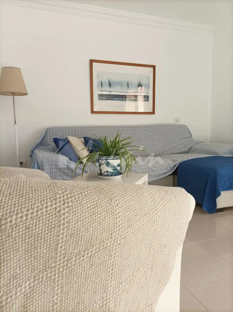 Sala de estar de Ático en venta en Arona
