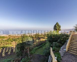 Garden of House or chalet for sale in Los Realejos