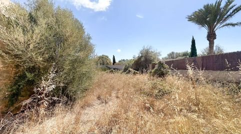 Foto 2 de Residencial en venda a Es Llombards, Santanyí