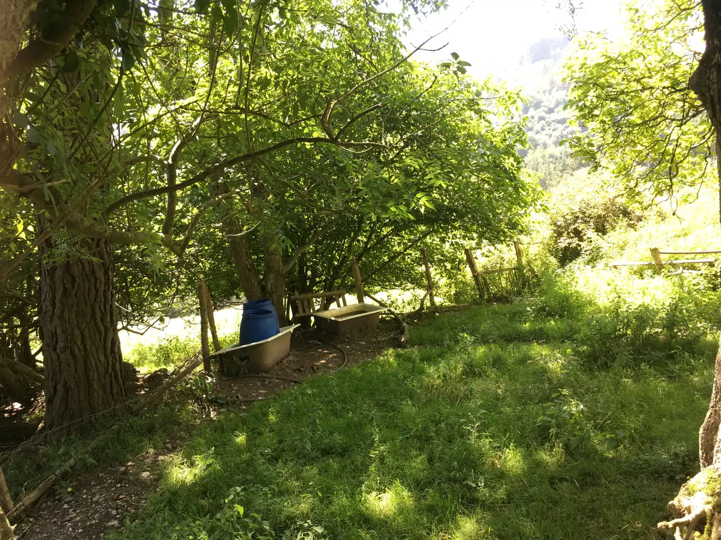 Jardín de Finca rústica en venta en Beasain