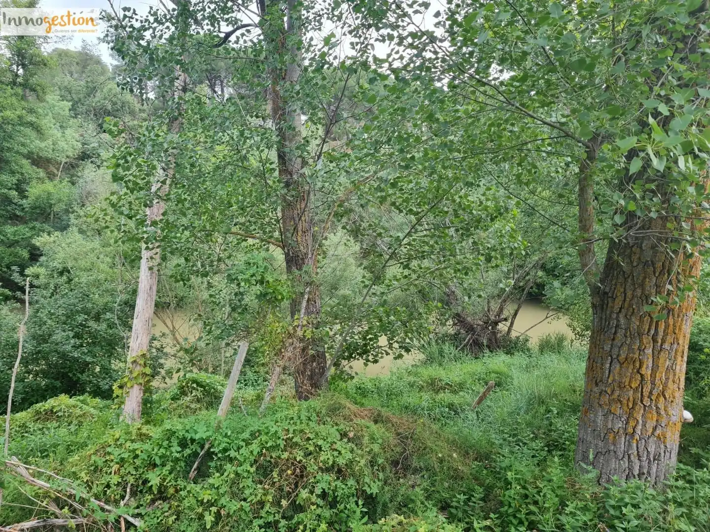 Terreno rustico in vendita a Tudela de Duero, imagen 2