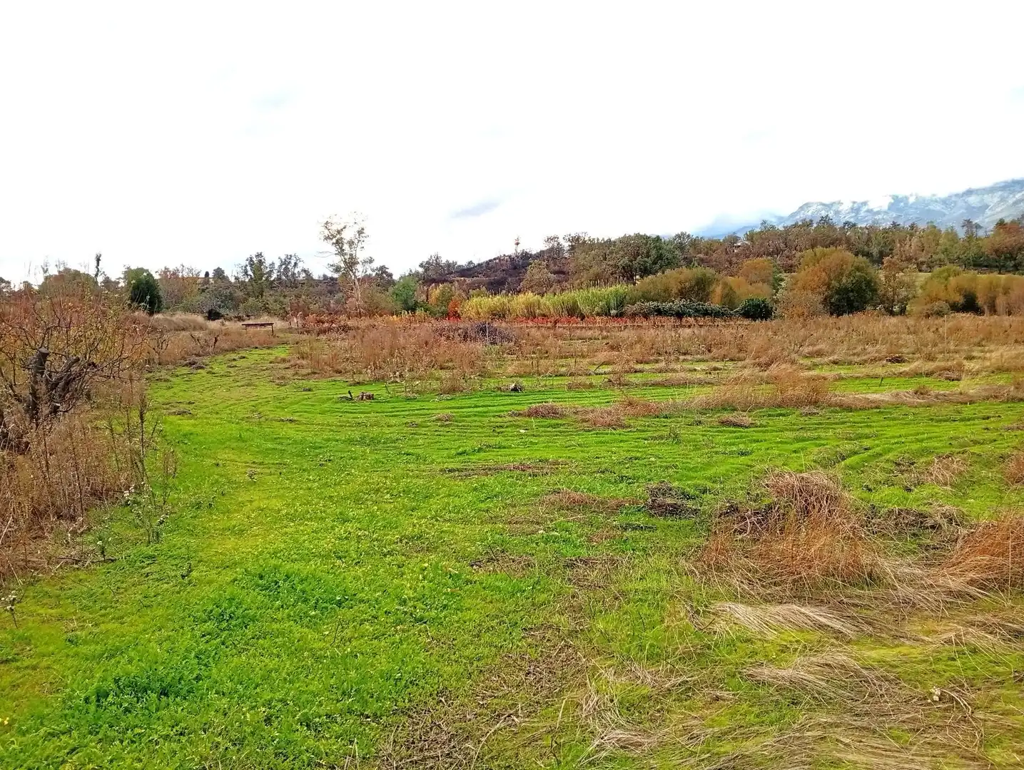 Terreni e lotti in vendita a Villanueva de la Vera, imagen 4