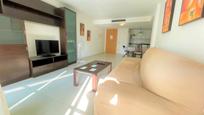 Living room of Apartment for sale in Sant Carles de la Ràpita  with Air Conditioner, Terrace and Balcony